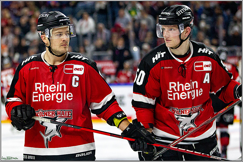 PENNY DEL;  Koelner Haie - Duesseldorfer EG; Koeln, 19.10.2021